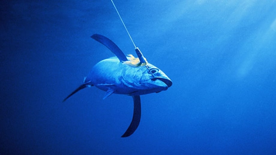 Ask about the method of catch.