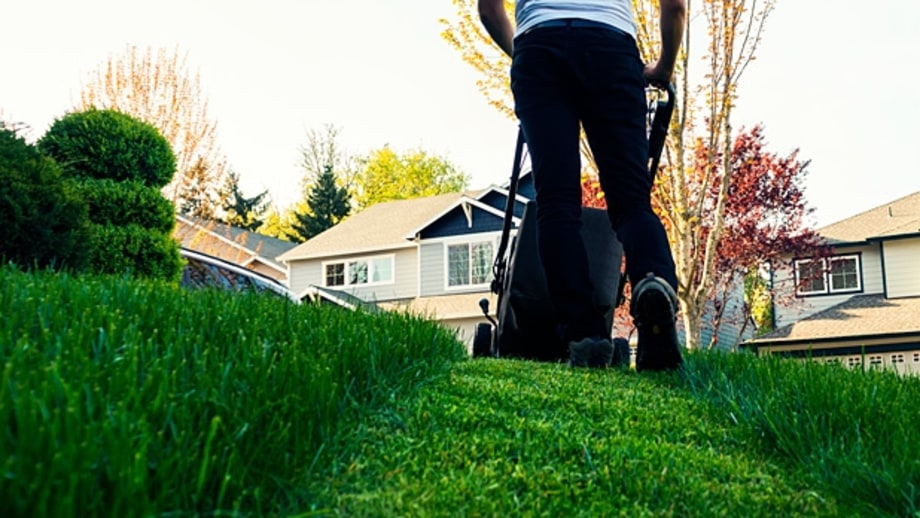 How to Get a More Sustainable, Greener Lawn