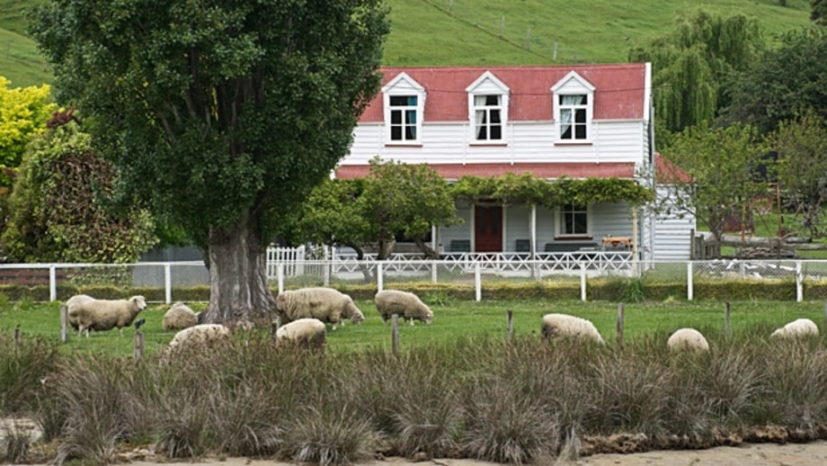 New Zealand