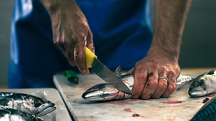How To Pick your Fishmonger
