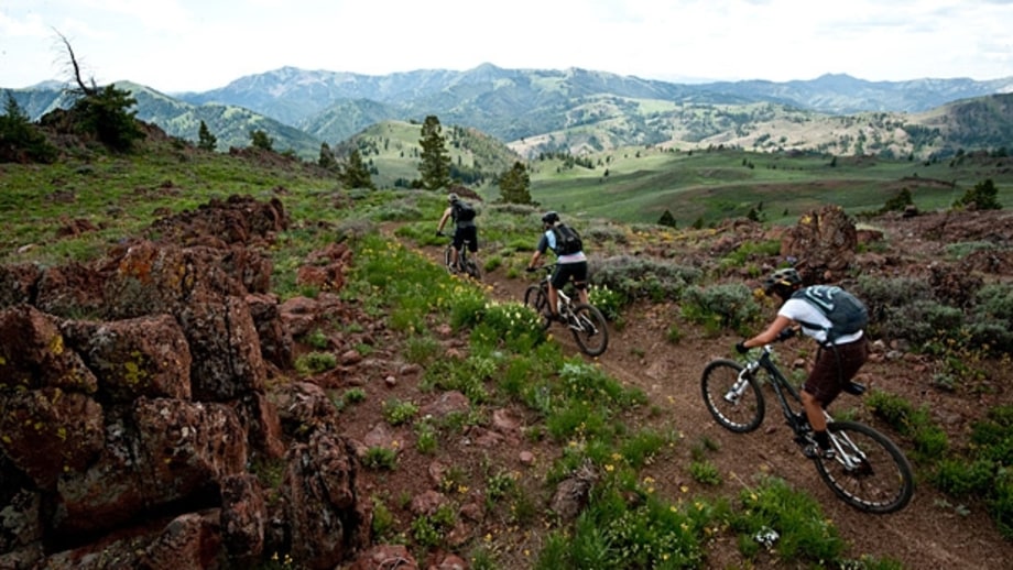 Best By Bike