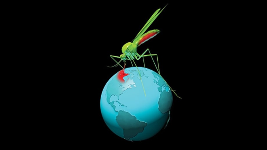 Four Dangerous Diseases That Mosquitoes Are Bringing to the U.S.