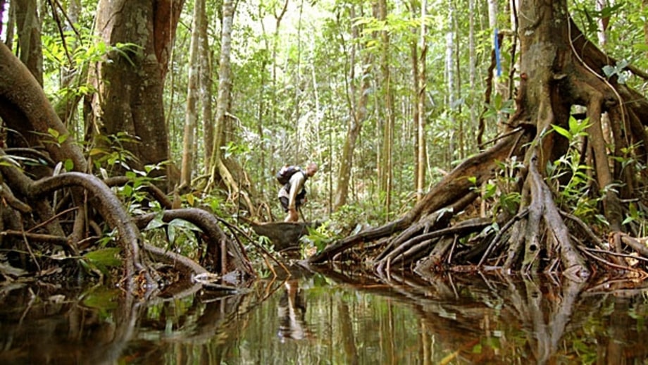 Jungle Marathon, Brazil
