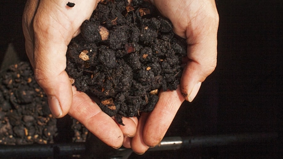 Compost.