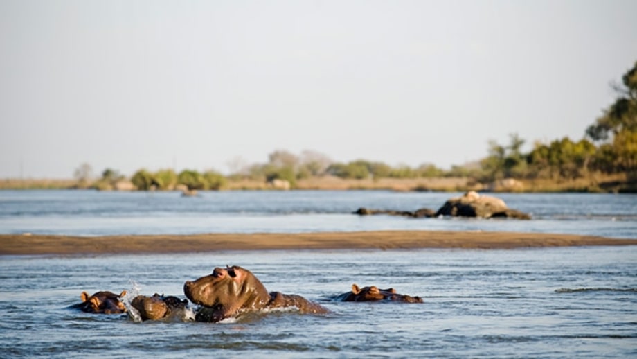 Majete Wildlife Reserve, Malawi