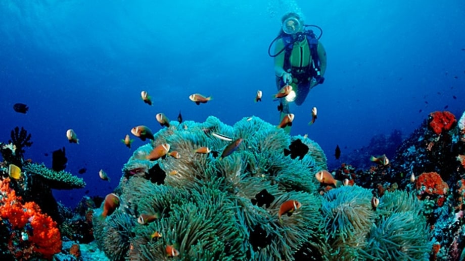 The Maldives