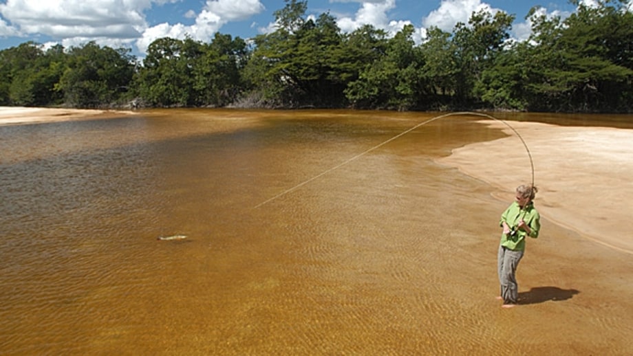 Manaus