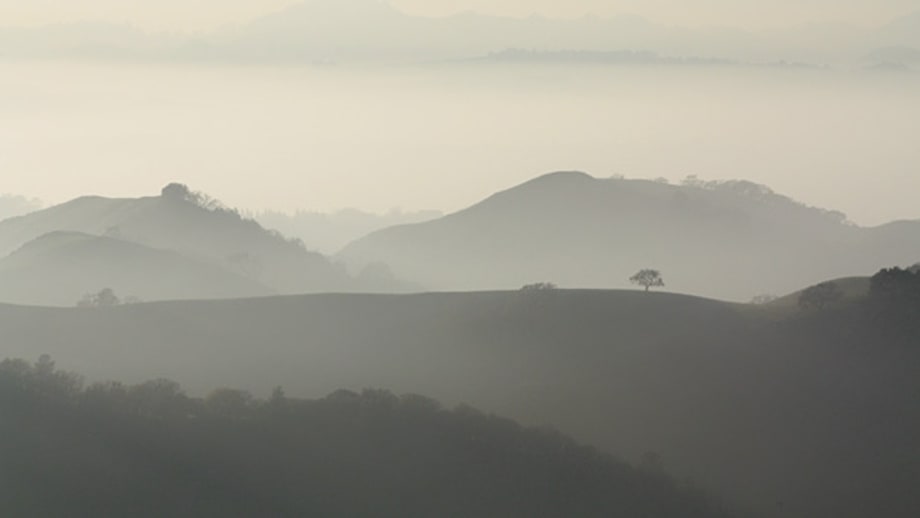 The Bay Area: Mission Peak