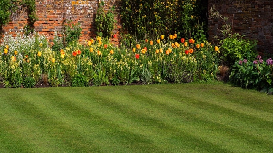 Diversify your grass seeds.