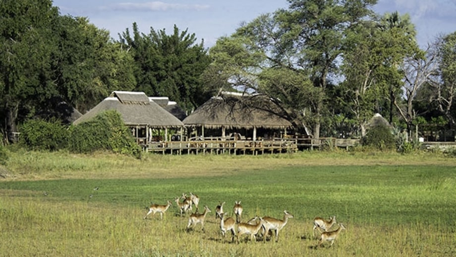 Mombo Camp (Okavango Delta, Botswana)