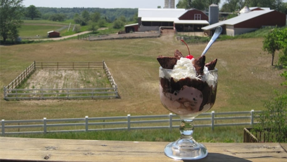 Moomers Homemade Ice Cream (Traverse City, Michigan) 27 of the Best