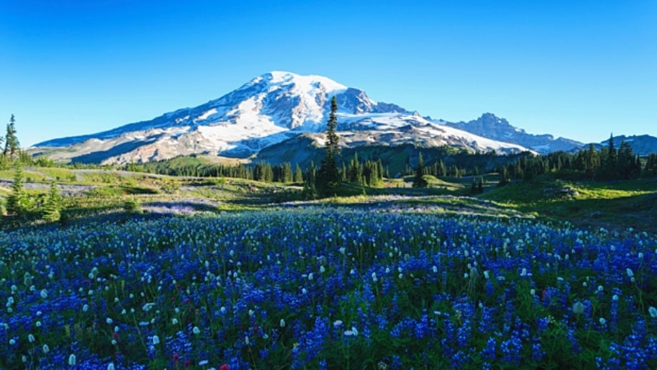 Mount Rainier