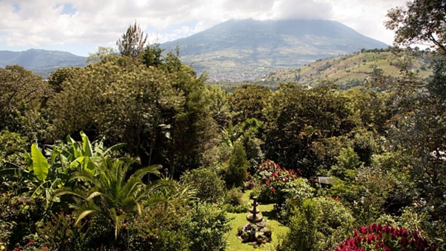 Coffee Plantation Tours