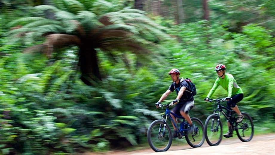 New Zealand's Bike Towns