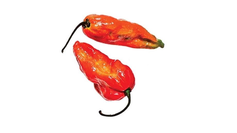 Naga Bhut Jolokia (superhot)