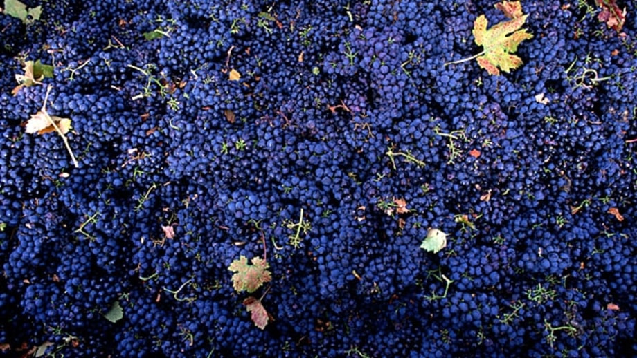 The Classic: Napa Valley/ Sonoma