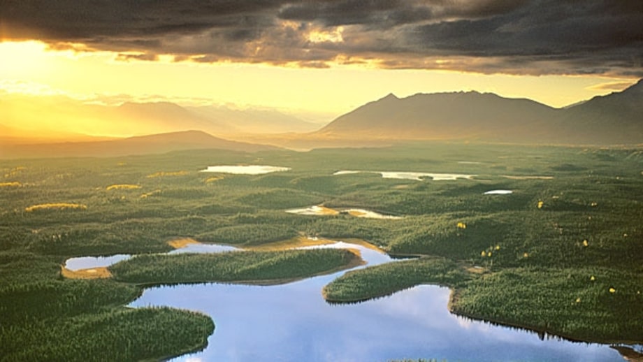 National Park Cabin: Esker Stream Cabin, Yakutat, Alaska
