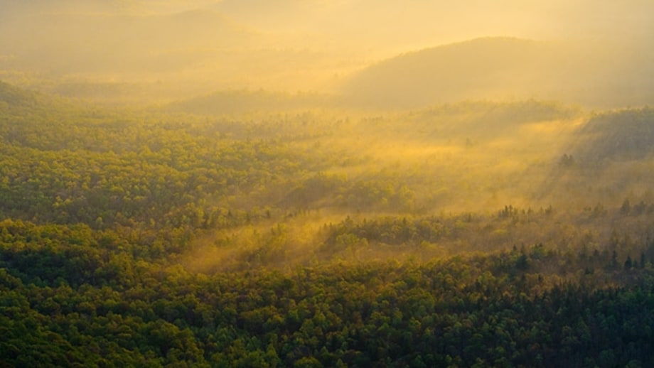 North Carolina's Blue Ridge Parkway