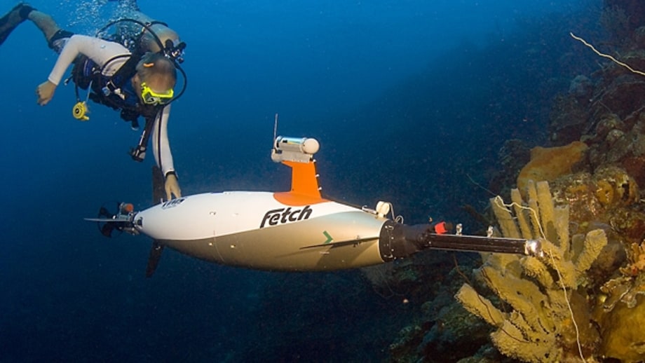 AUVs