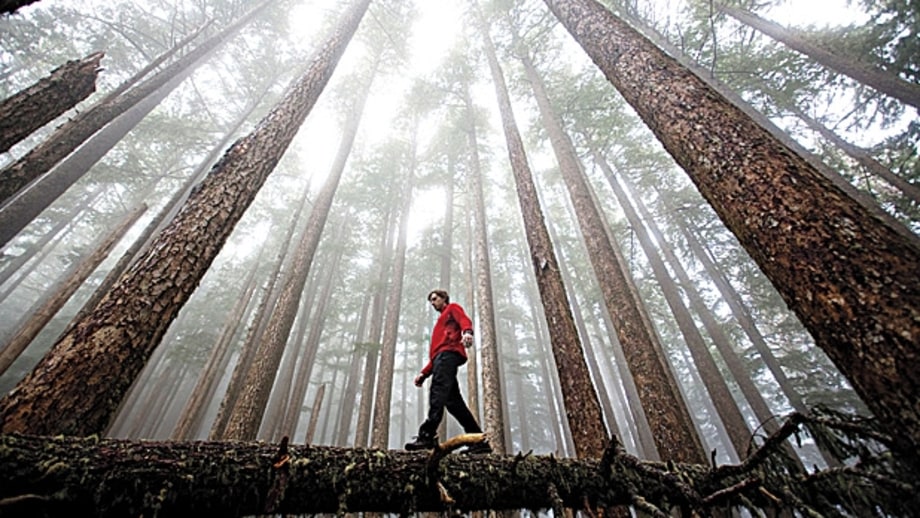 Olympic Peninsula Solitude