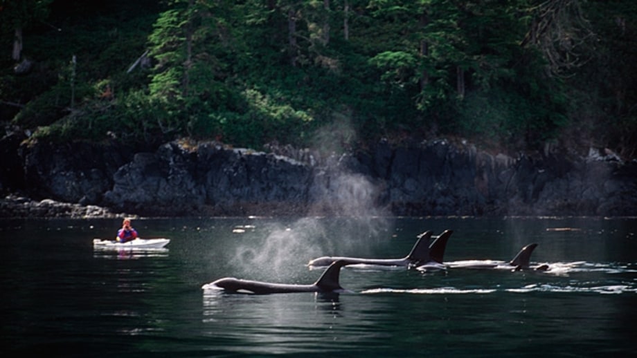 Paddle British Columbia.