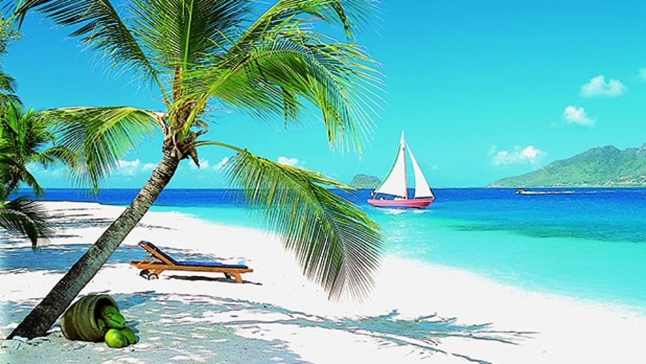 Palm Island Resort