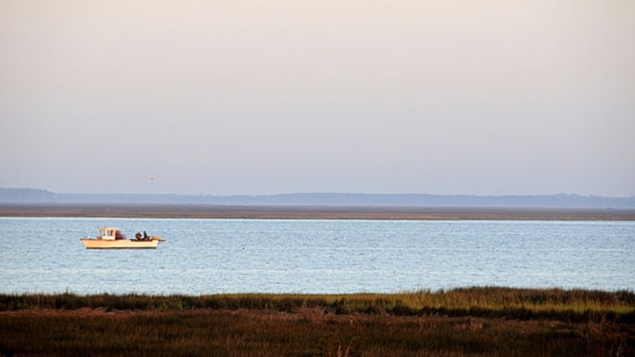 Pamlico Sound, North Carolina: Red Drum
