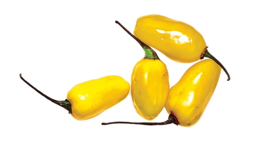 Pequin (hot)
