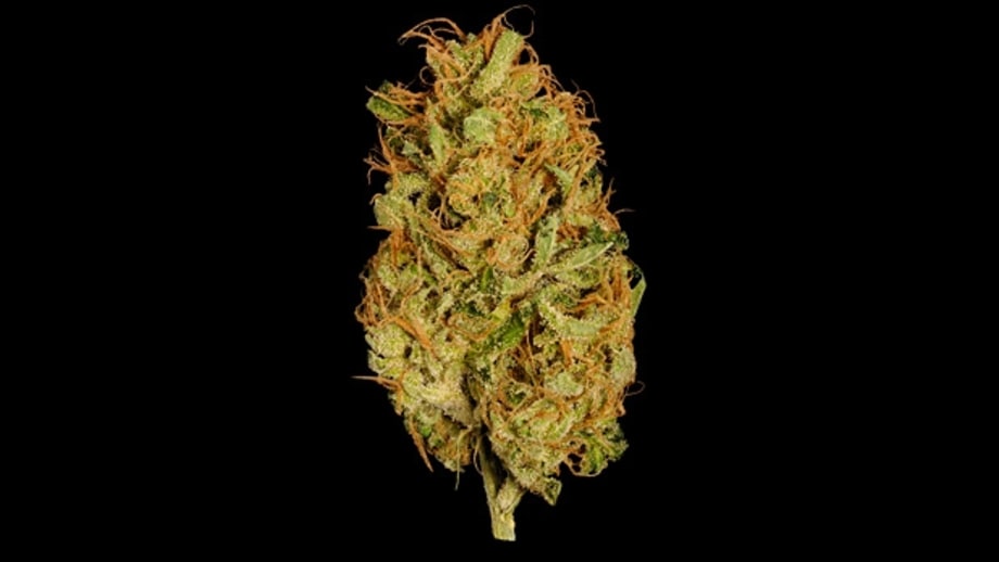 Shows great potential for: Seizures