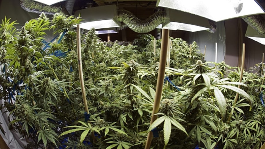 Proven for: Chronic neuropathic pain