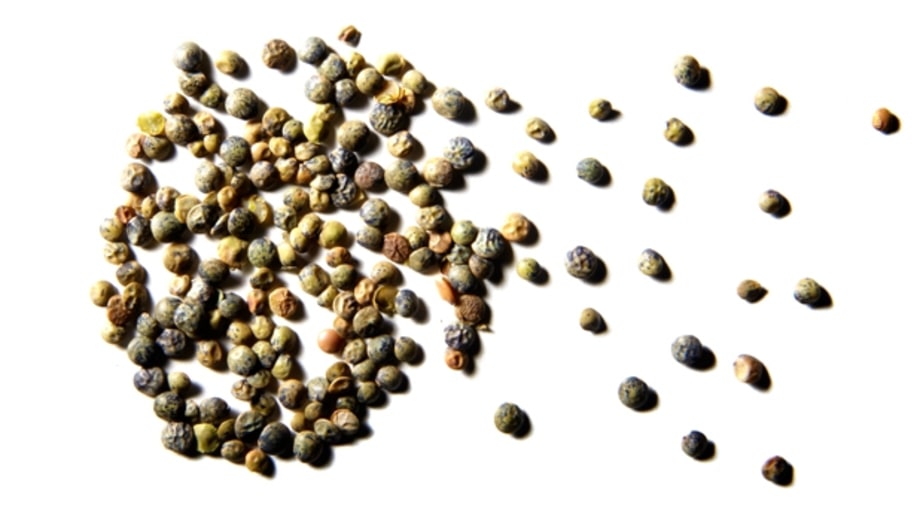 Beans