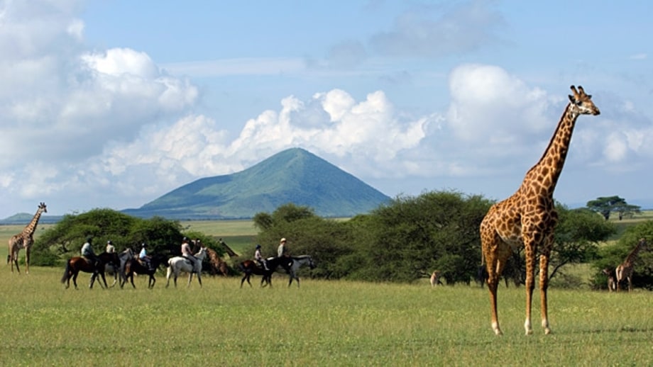 A cultural safari, Kenya