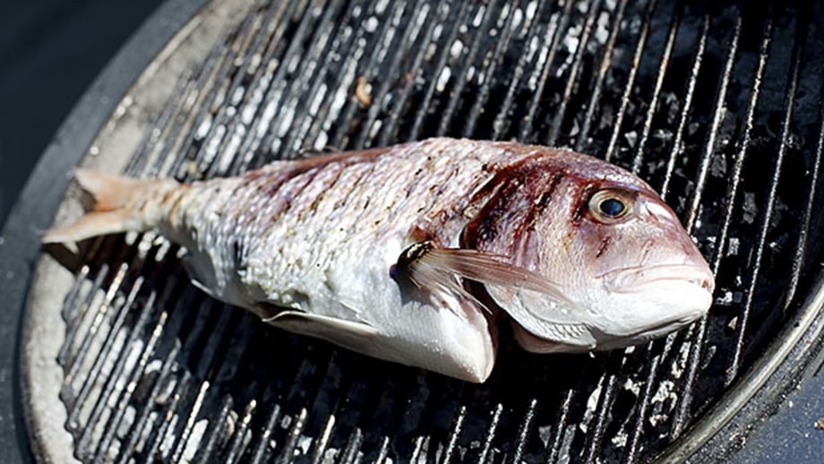 Redfish
