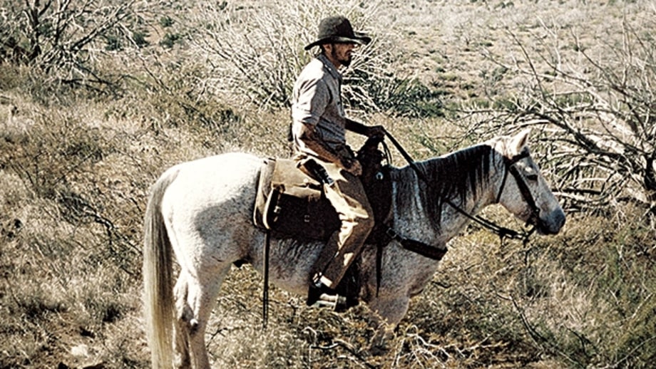 Roping Out West