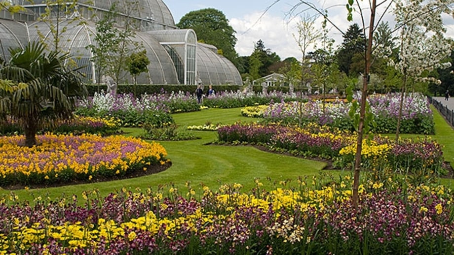 Royal Botanic Gardens, Kew (England)