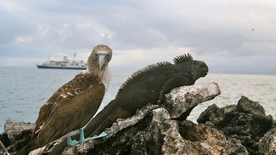 Andean Discovery: The Galapagos Islands