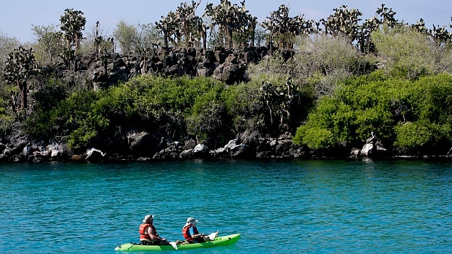 Sea Kayaking the Galapagos