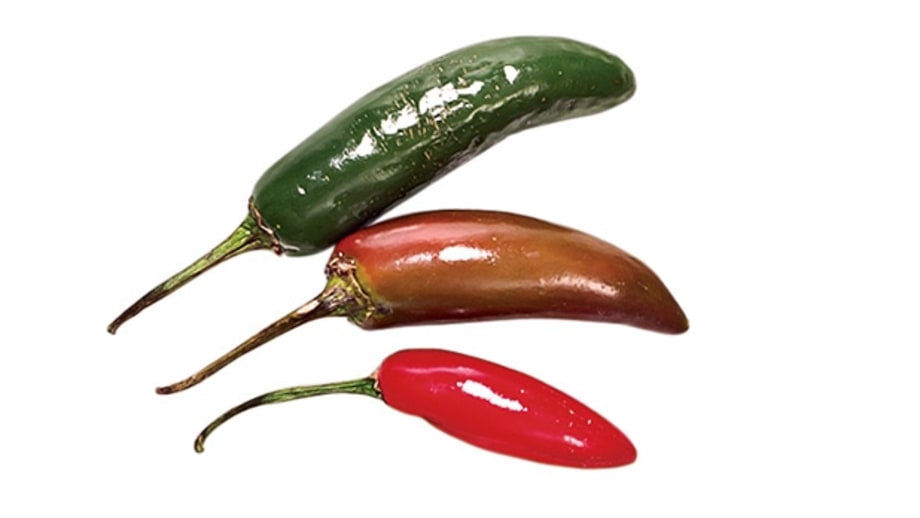 Serrano (medium)