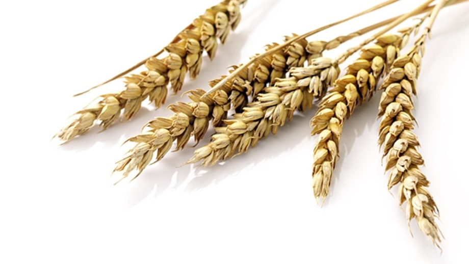 Cut grains.