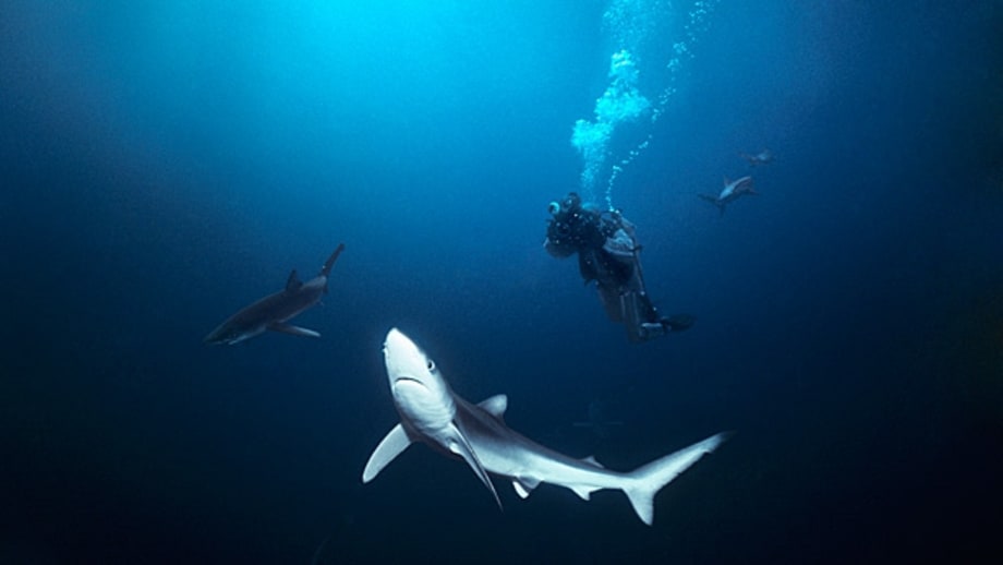 Roatan, Honduras