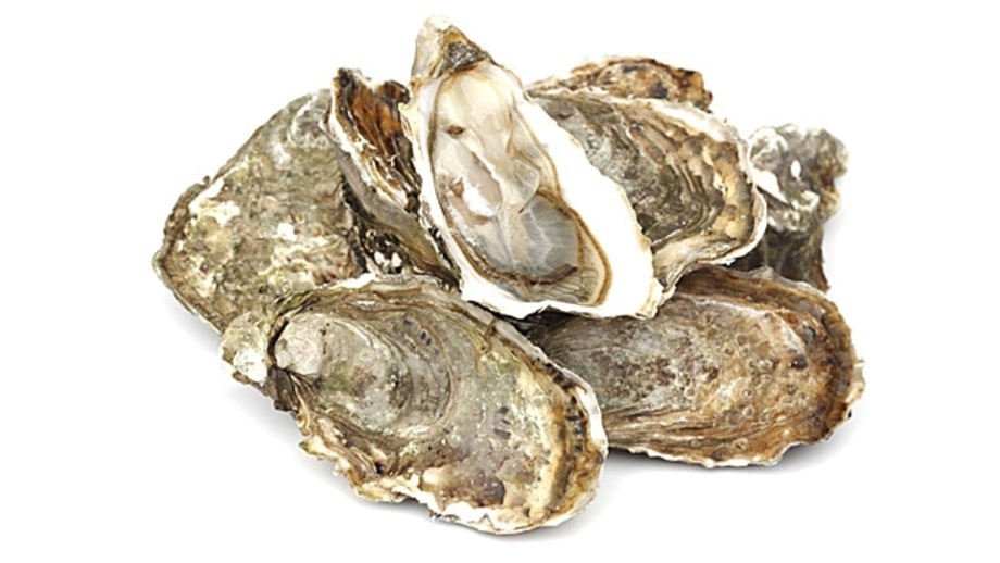7. Shellfish