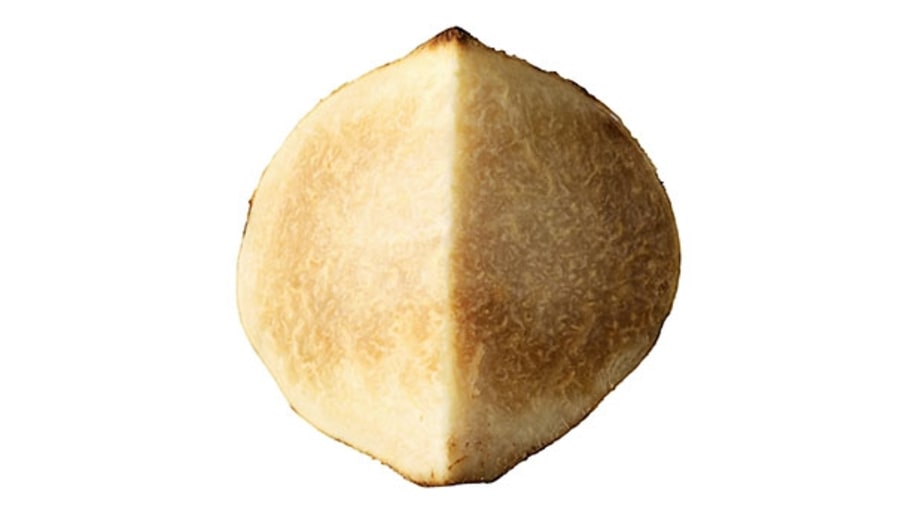 Jicama
