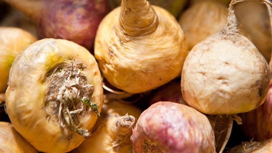 Maca
