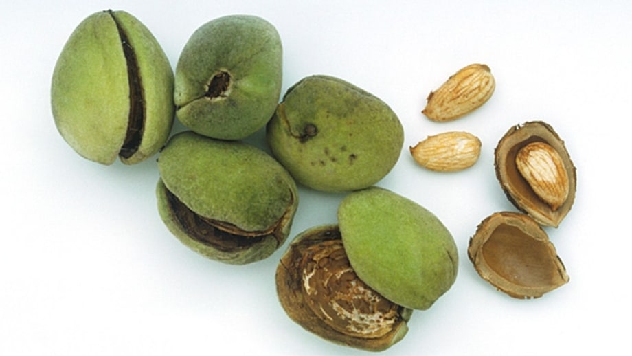 Eat raw nuts and seeds instead of roasted ones.