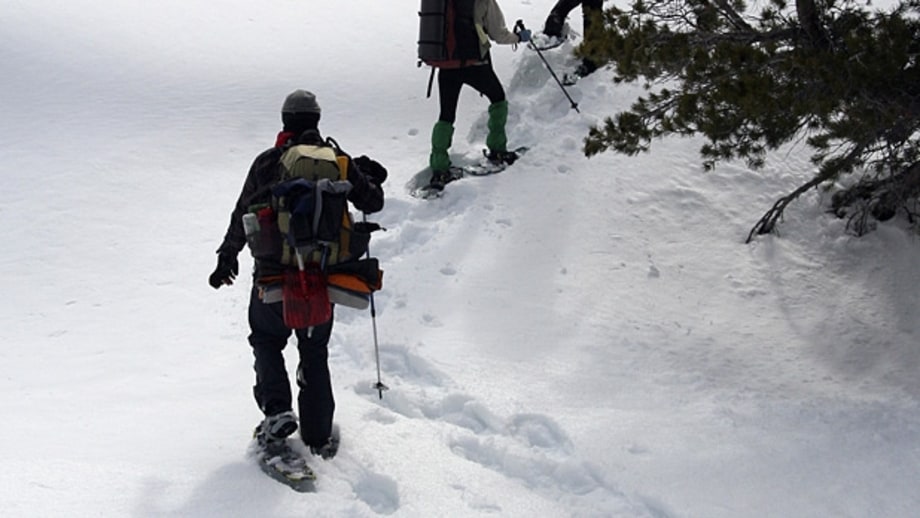 Snowshoeing