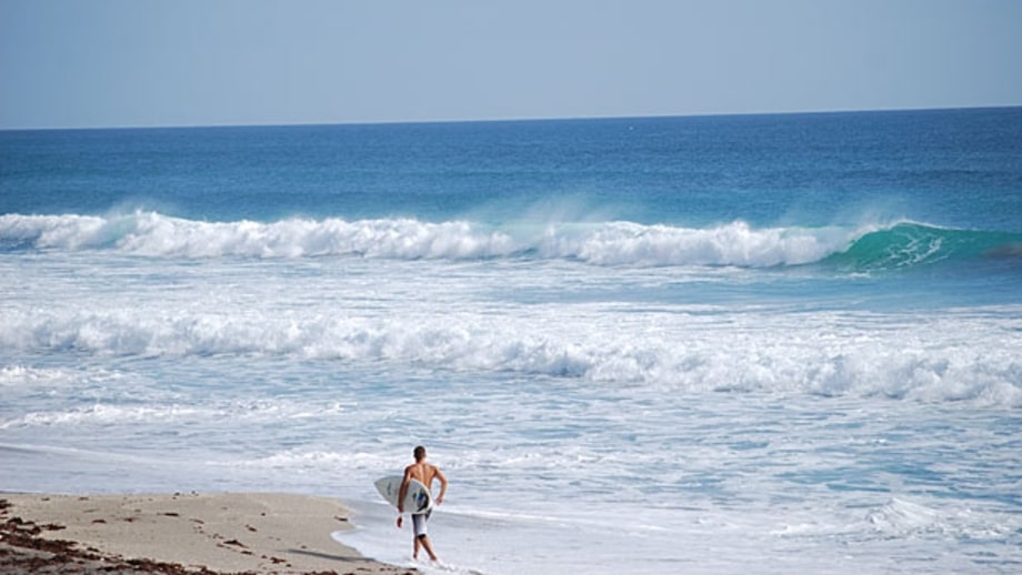 Reef Road Surfing
