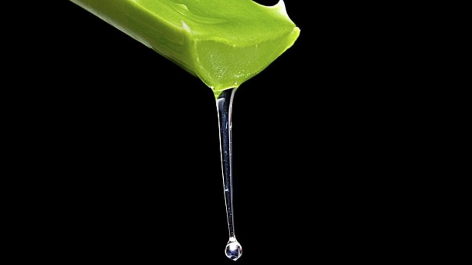 Use Aloe