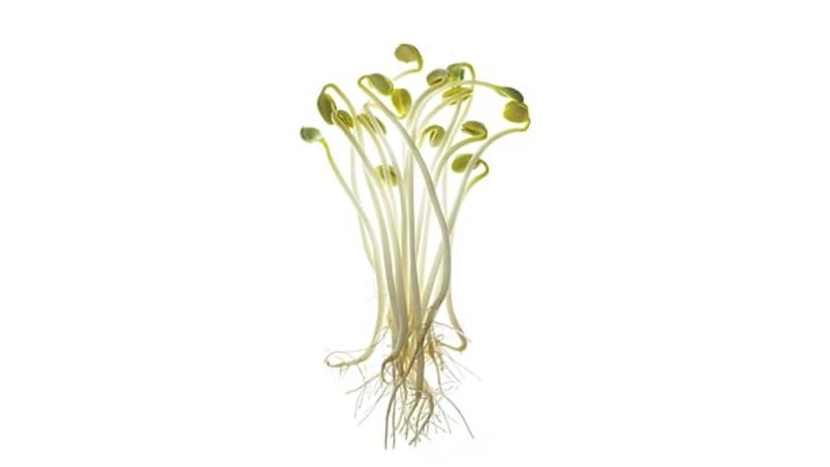3. Sprouts