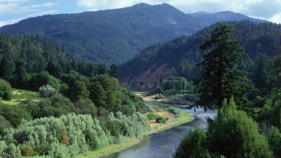 Tate Creek Slide (Rogue River–Siskiyou National Forest)