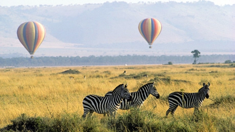 Take an airborne safari (Kenya, Tanzania).